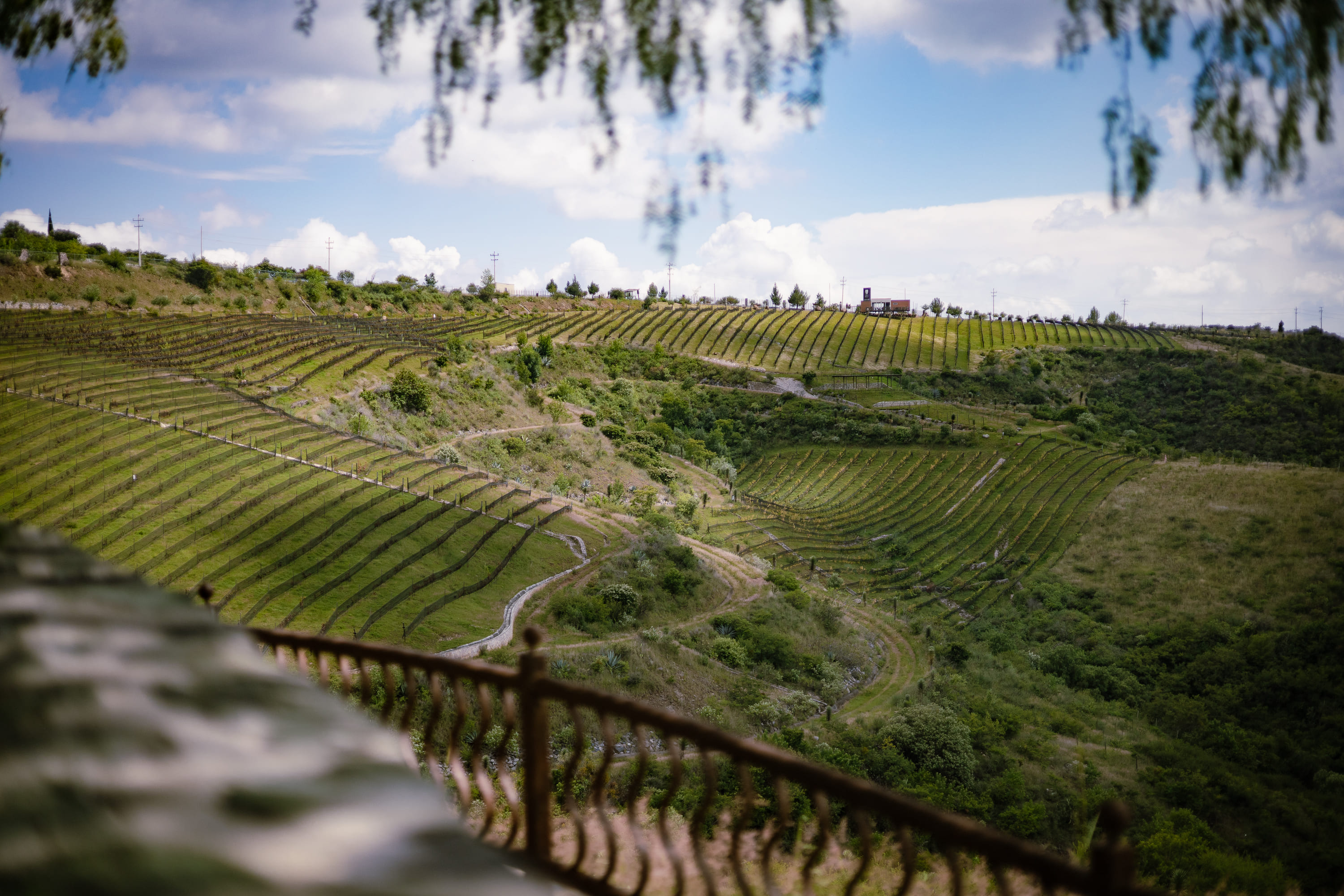 Imagen de Laberinto Picnic